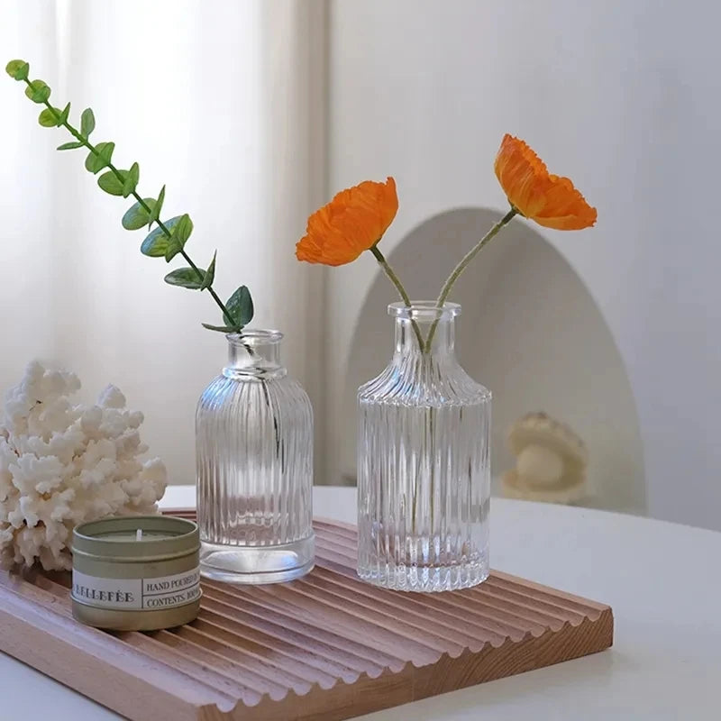 Nordic Transparent Flower Vase