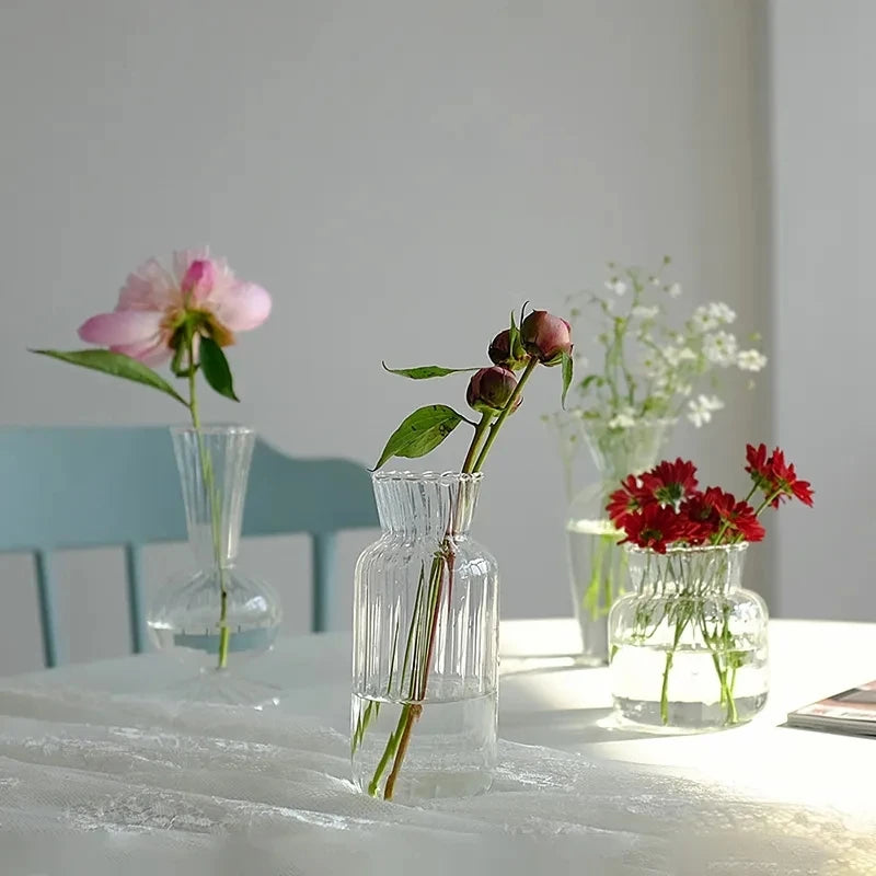 Nordic Transparent Flower Vase