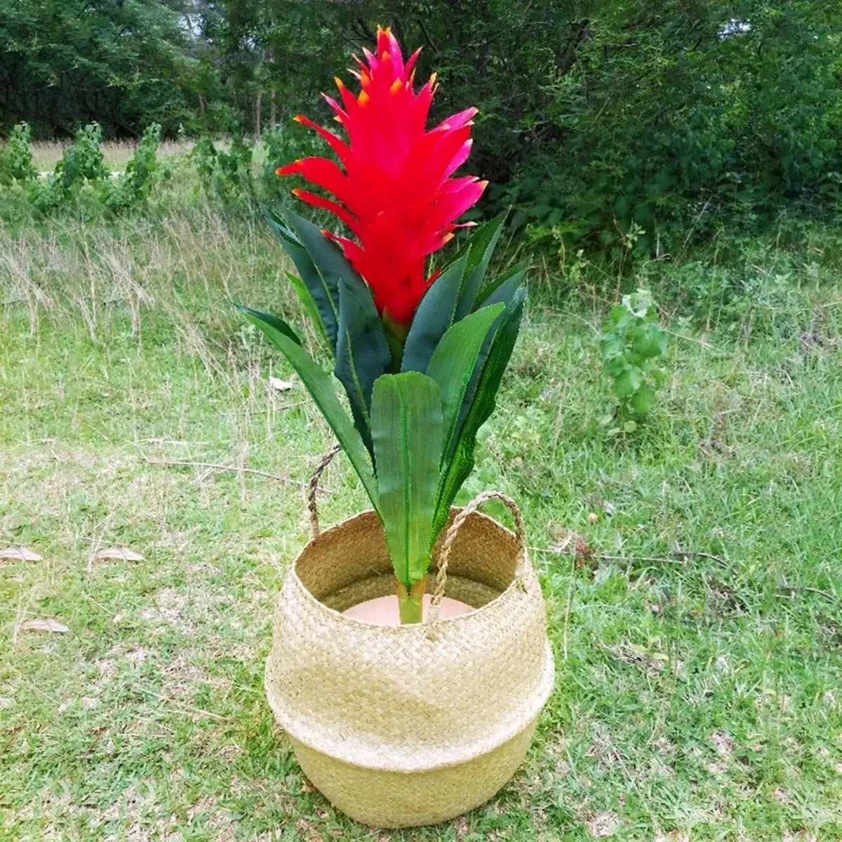Rattan Hanging Basket – Versatile Seaweed Flowerpot & Storage Solution