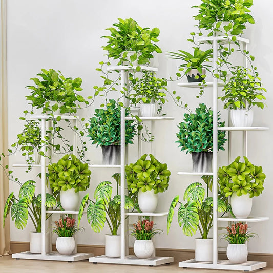 Cordlal Shining Iron Plant Stand