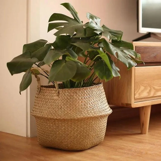 Rattan Hanging Basket – Versatile Seaweed Flowerpot & Storage Solution