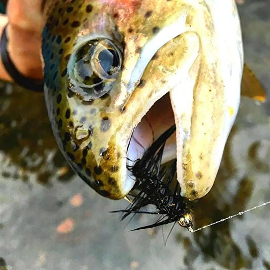 5Pieces Brassbead Wooly Bugger Fly Fishing Flies for Trout, Bass and Salmon-Streamer Assortment Flies Effective Artificial Baits