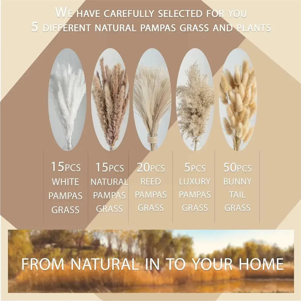 105-Piece Dried Floral Bouquet – Natural Pampas & Rabbit Tail Grass for Boho & Wedding Décor